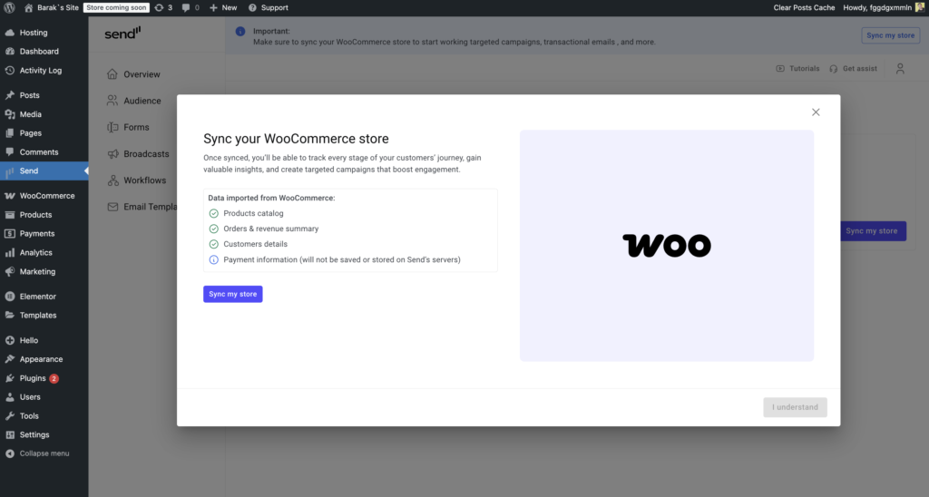 6 Ways Freelancers and Agencies Can Turn Email Marketing into Monthly Revenue 4 sync with woo p2 6 Ways Freelancers and Agencies Can Turn Email Marketing into Monthly Revenue 3 sync with woo p2